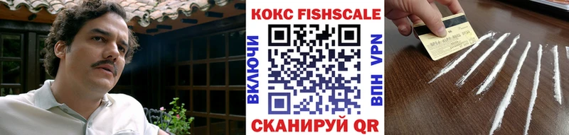 COCAIN FishScale Менделеевск