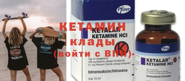 хмурый Белокуриха