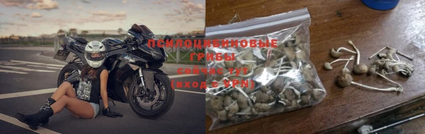 хмурый Богданович
