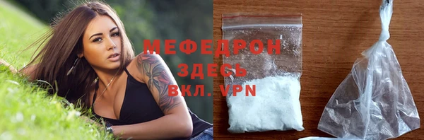 хмурый Белокуриха