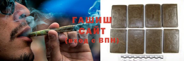 хмурый Белокуриха