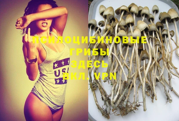 хмурый Белокуриха