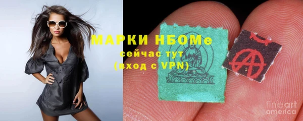 хмурый Белокуриха