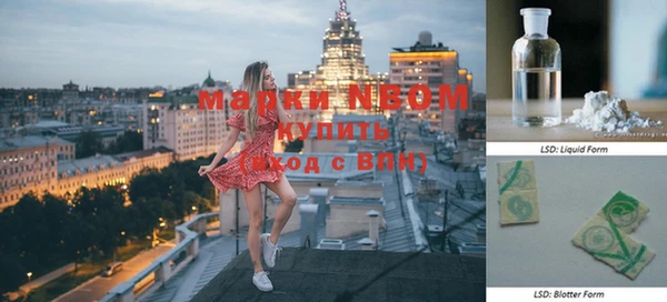 хмурый Белокуриха